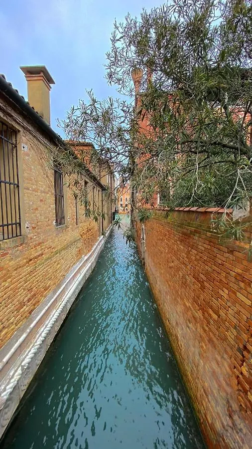 Ferienwohnung Artistico - Artistic Flat In Front Of Guggenheim Collection Venedig 0*,  Italien